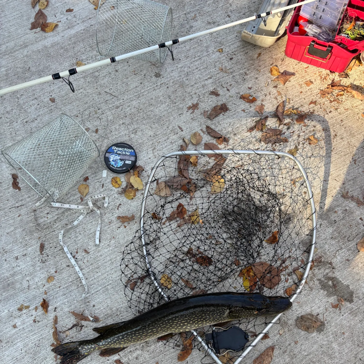 catch