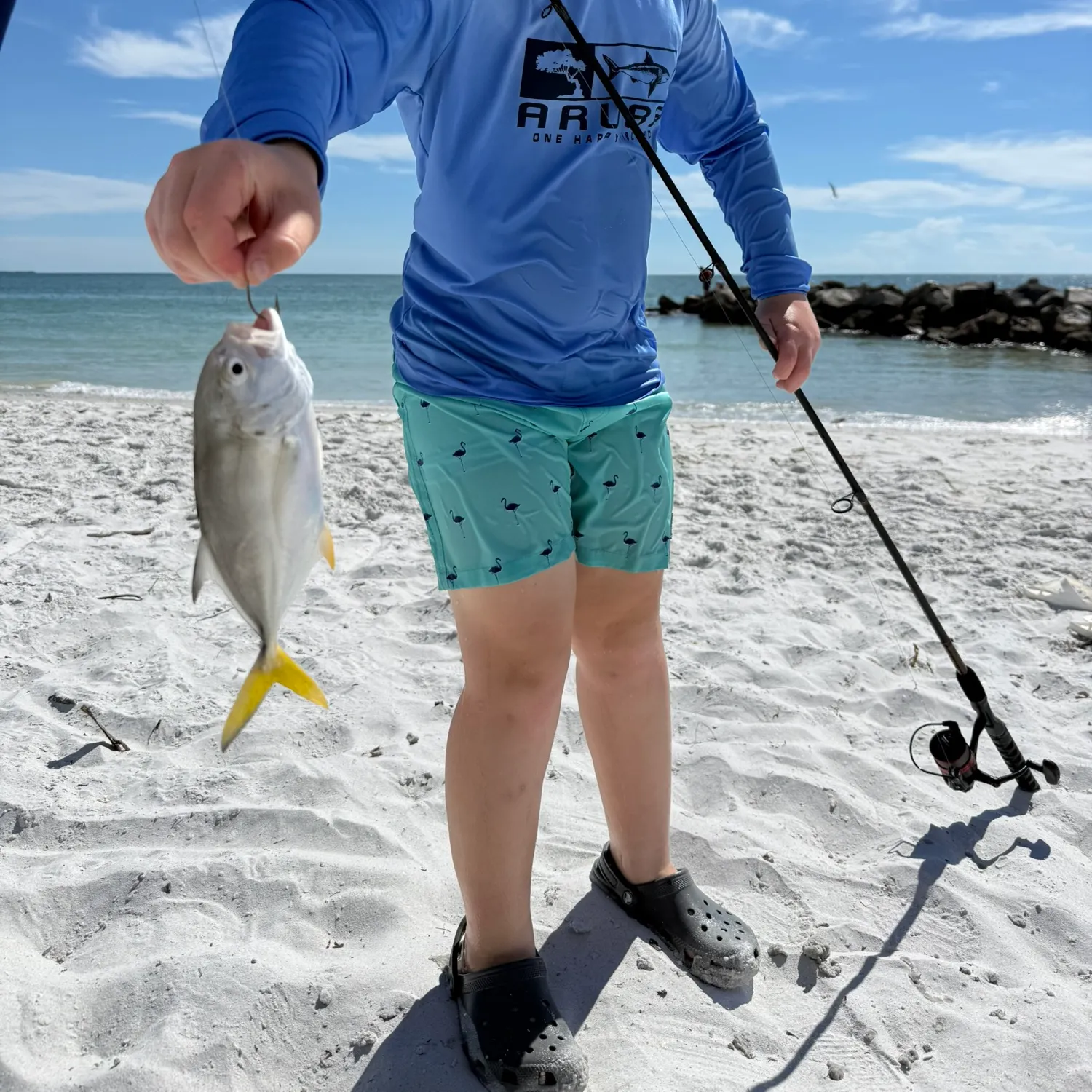 The most recent Pacific crevalle jack catches on Fishbrain