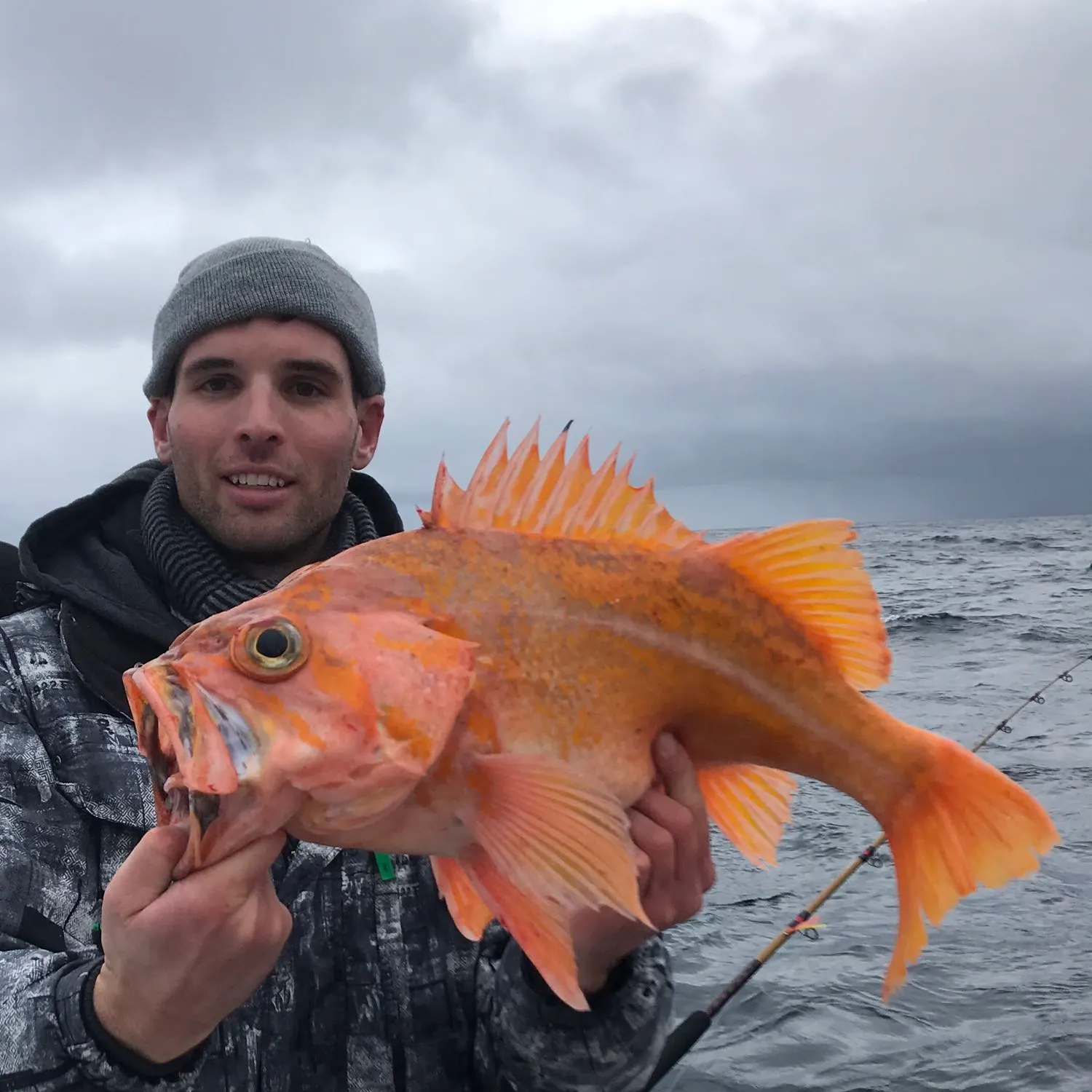 The most popular recent Canary rockfish catch on Fishbrain