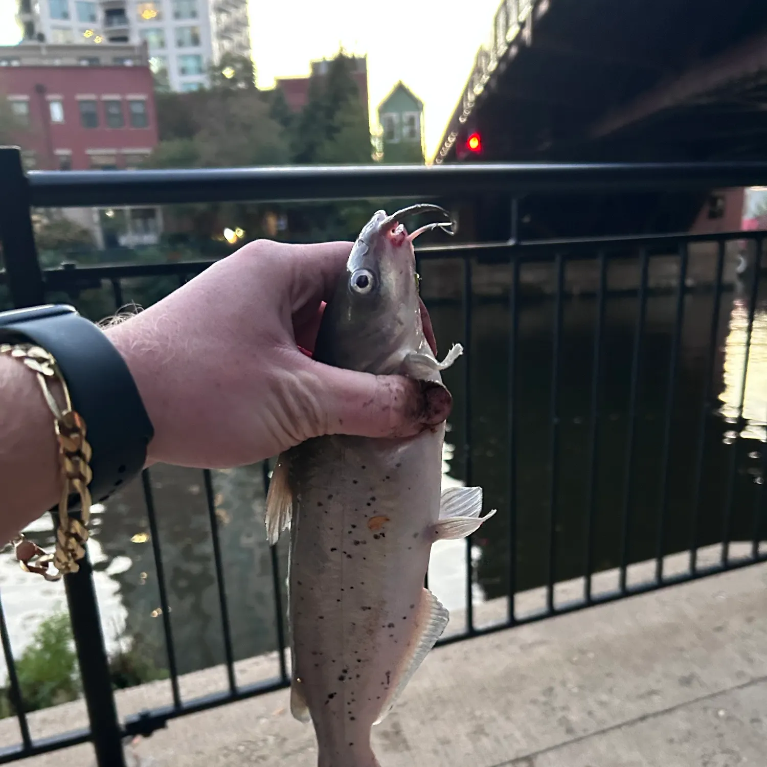 catch