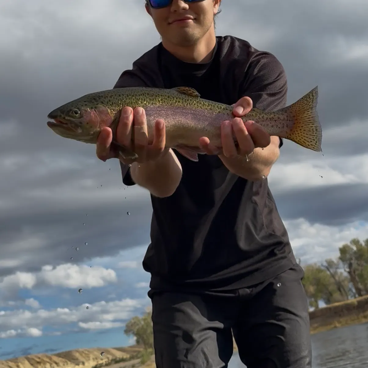 Rainbow trout caught on Fishbrain