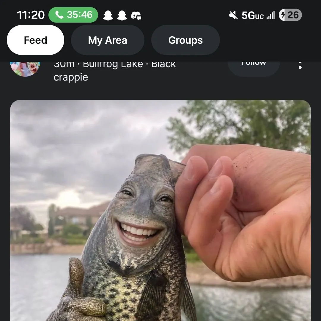recently logged catches