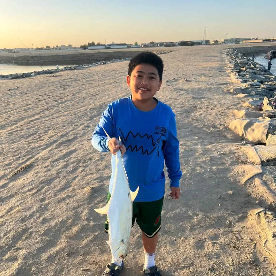 The most recent Talang queenfish catches on Fishbrain