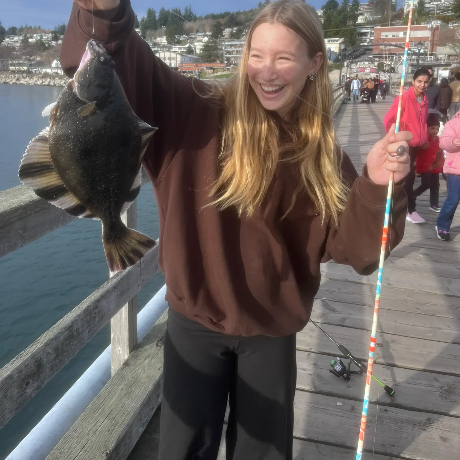 The most recent Starry flounder catches on Fishbrain