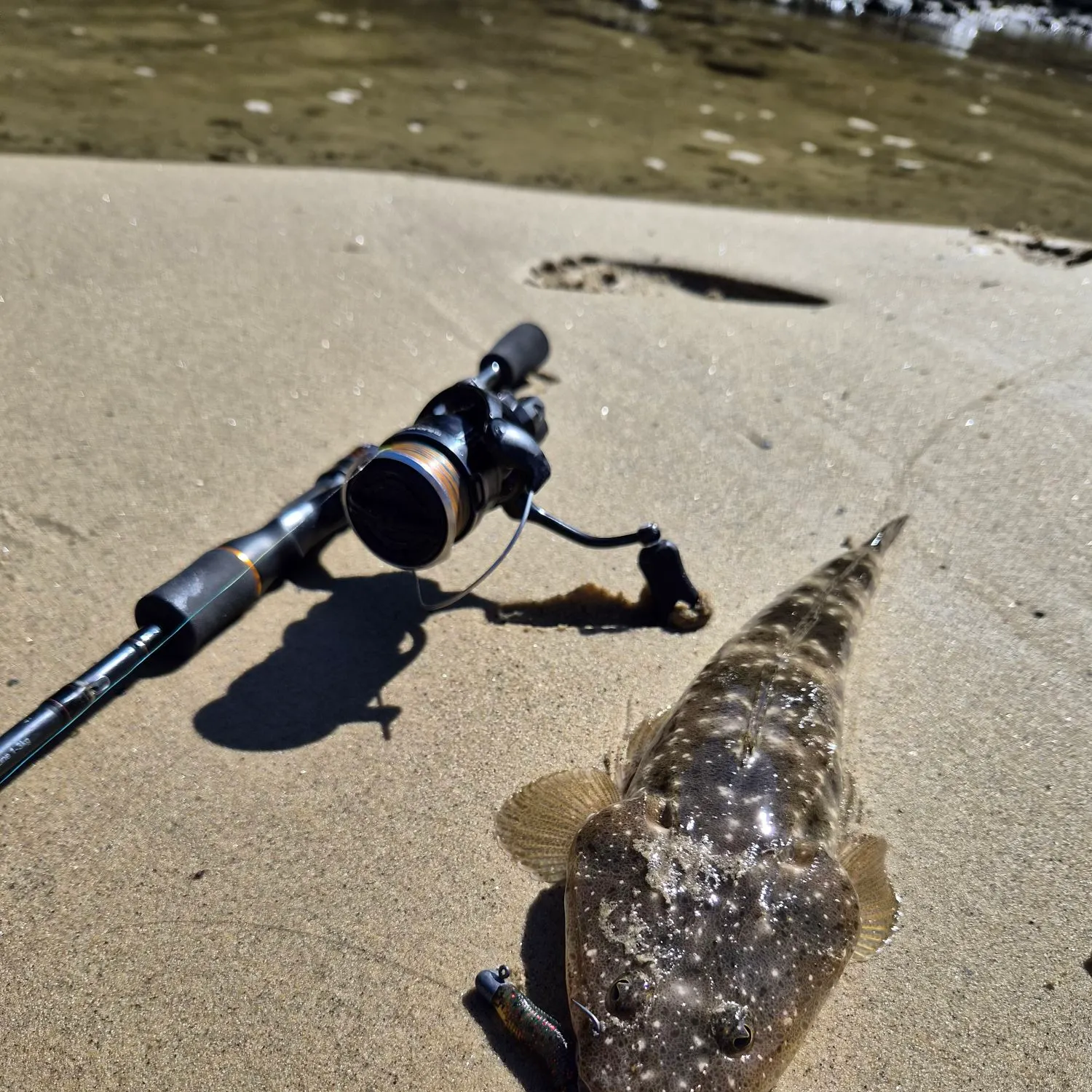 Dusky flathead caught on Fishbrain