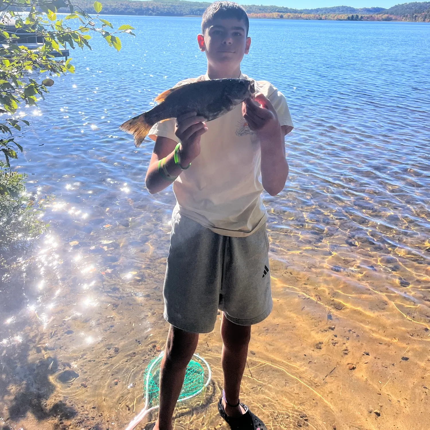 Smallmouth bass caught on Fishbrain