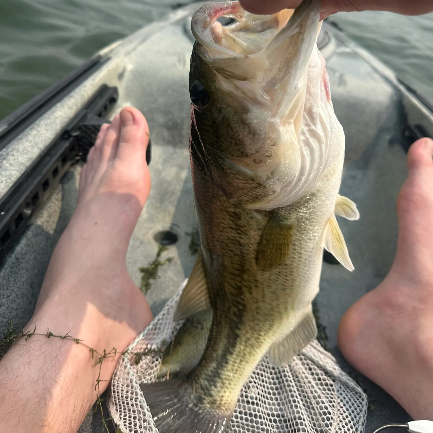 angler catch