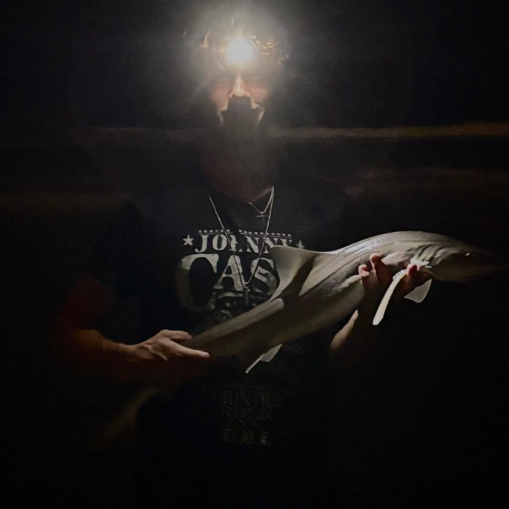 Grey smooth-hound caught on Fishbrain