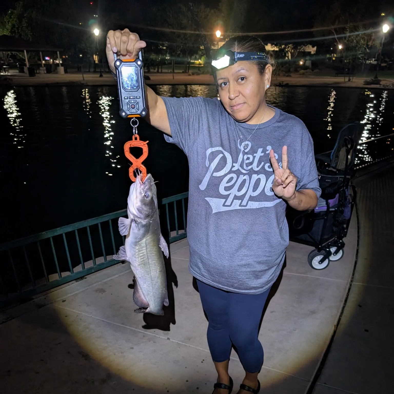 Channel catfish caught on Fishbrain