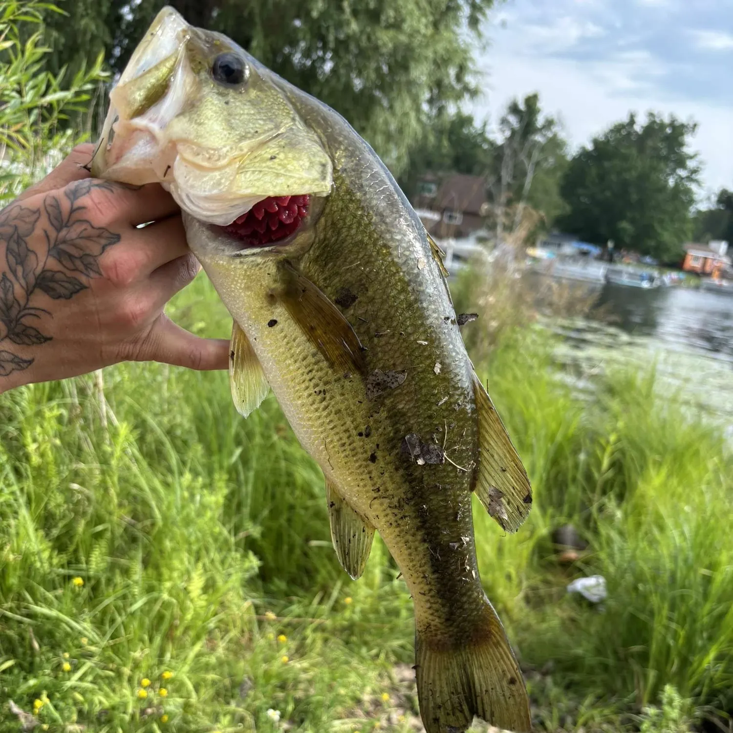 catch