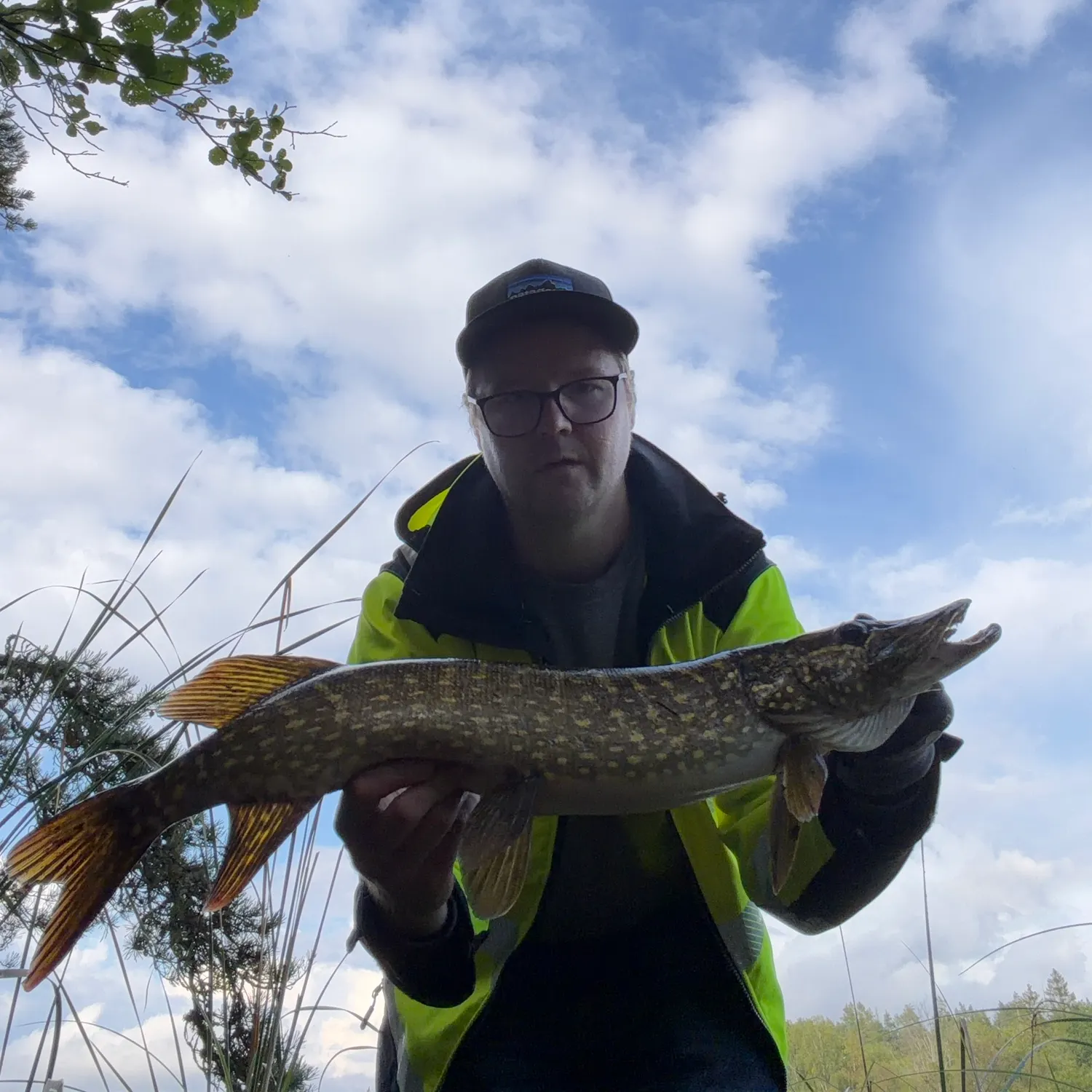 Northern pike caught on Fishbrain