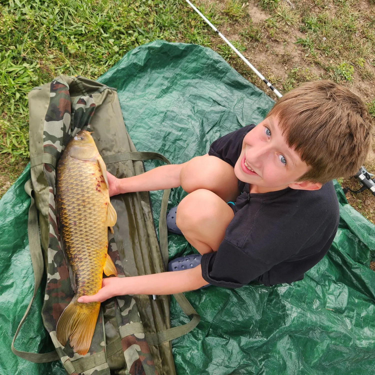 Common carp caught on Fishbrain