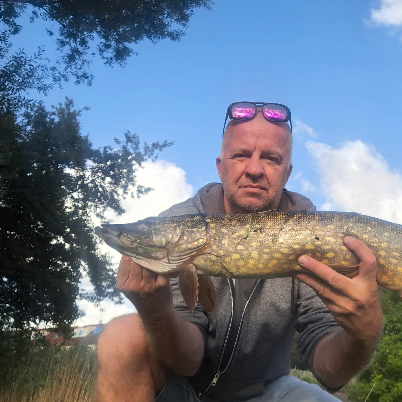 Northern pike caught on Fishbrain