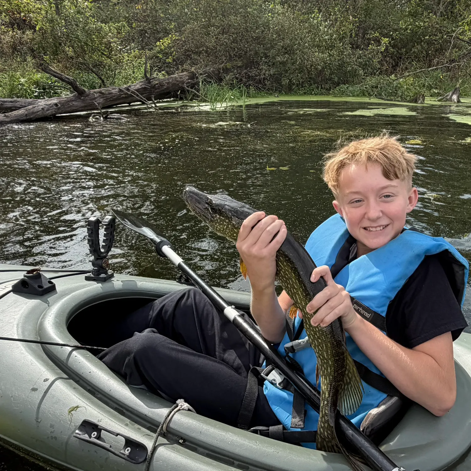 Northern pike caught on Fishbrain