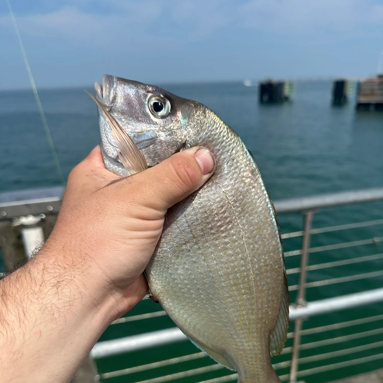 most liked catch image