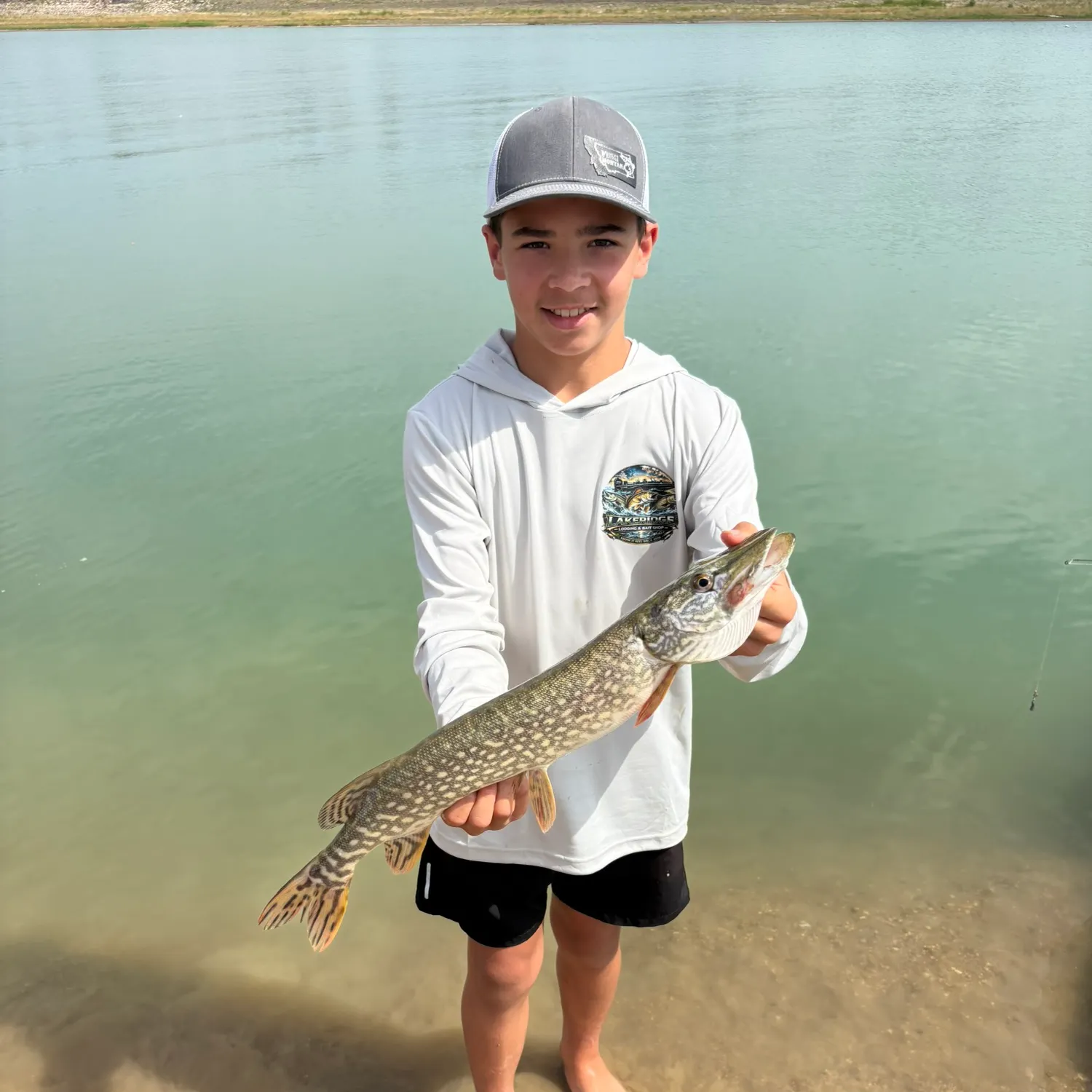 Northern pike caught on Fishbrain