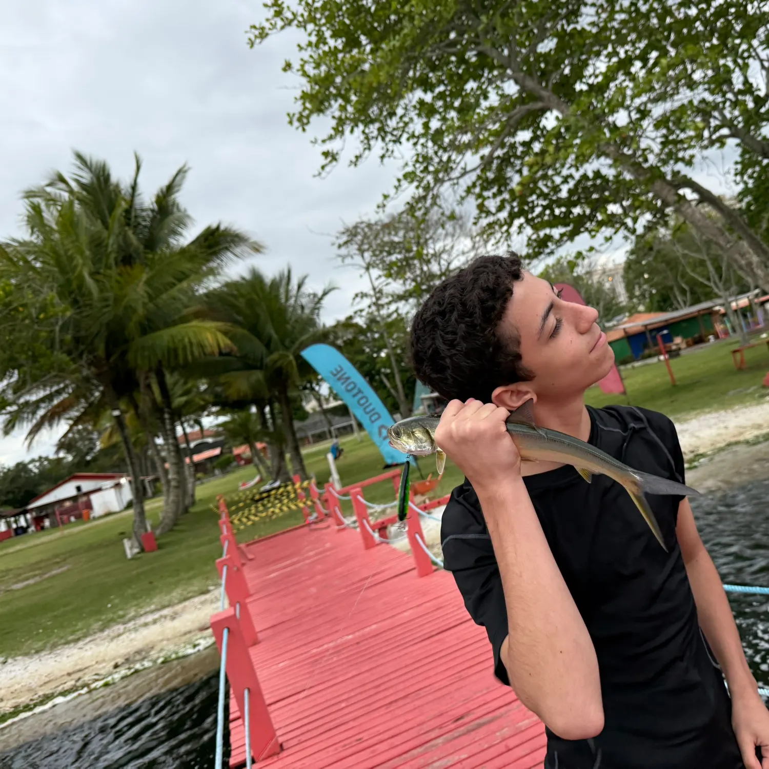 The most recent Ladyfish catches on Fishbrain