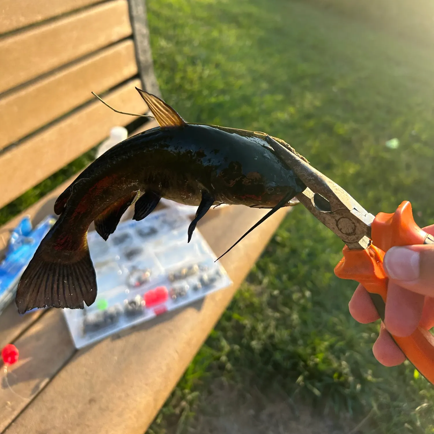 catch
