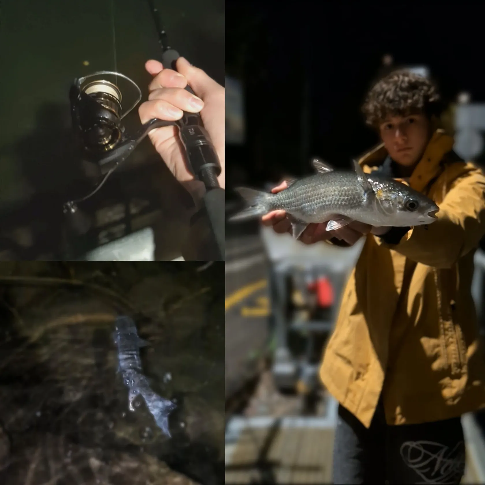 The most recent Striped mullet catches on Fishbrain