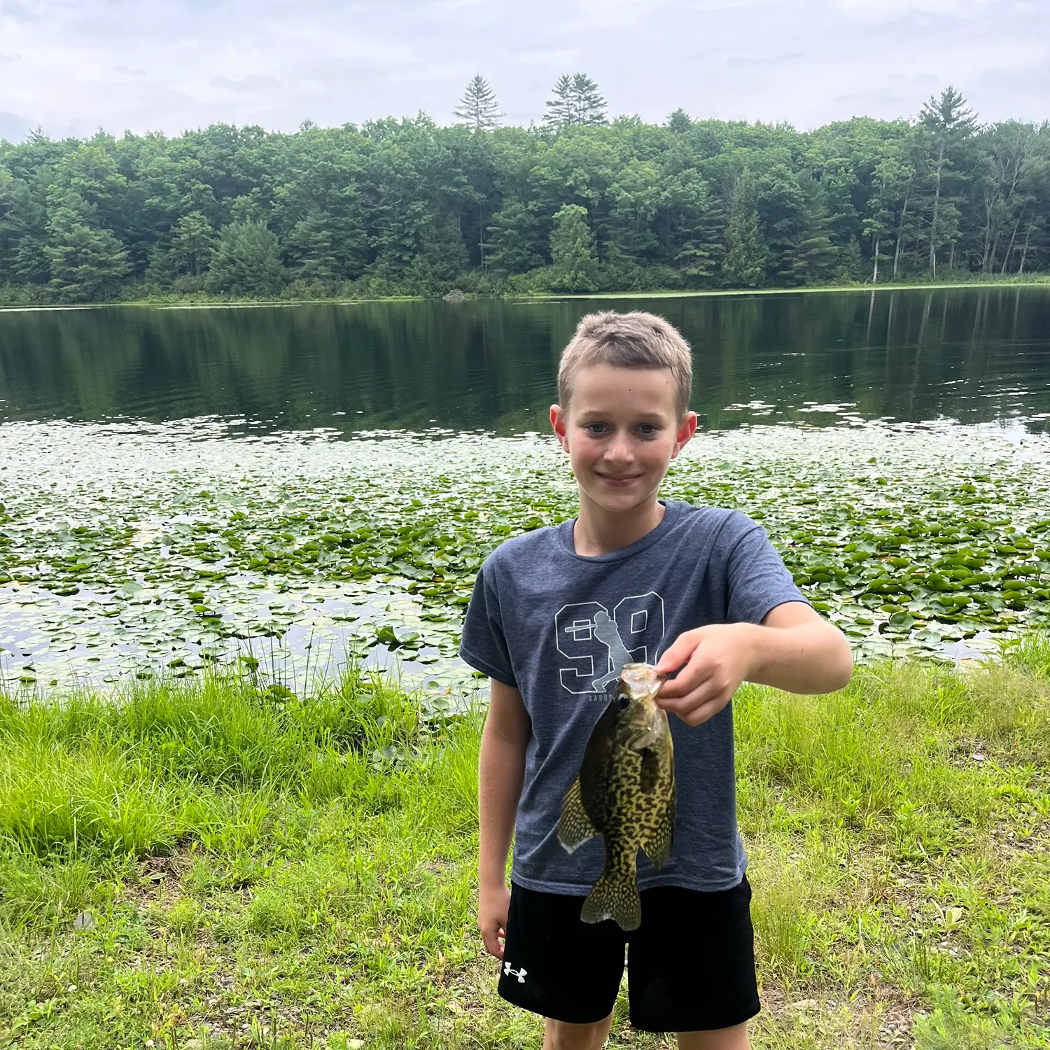 Black crappie caught on Fishbrain