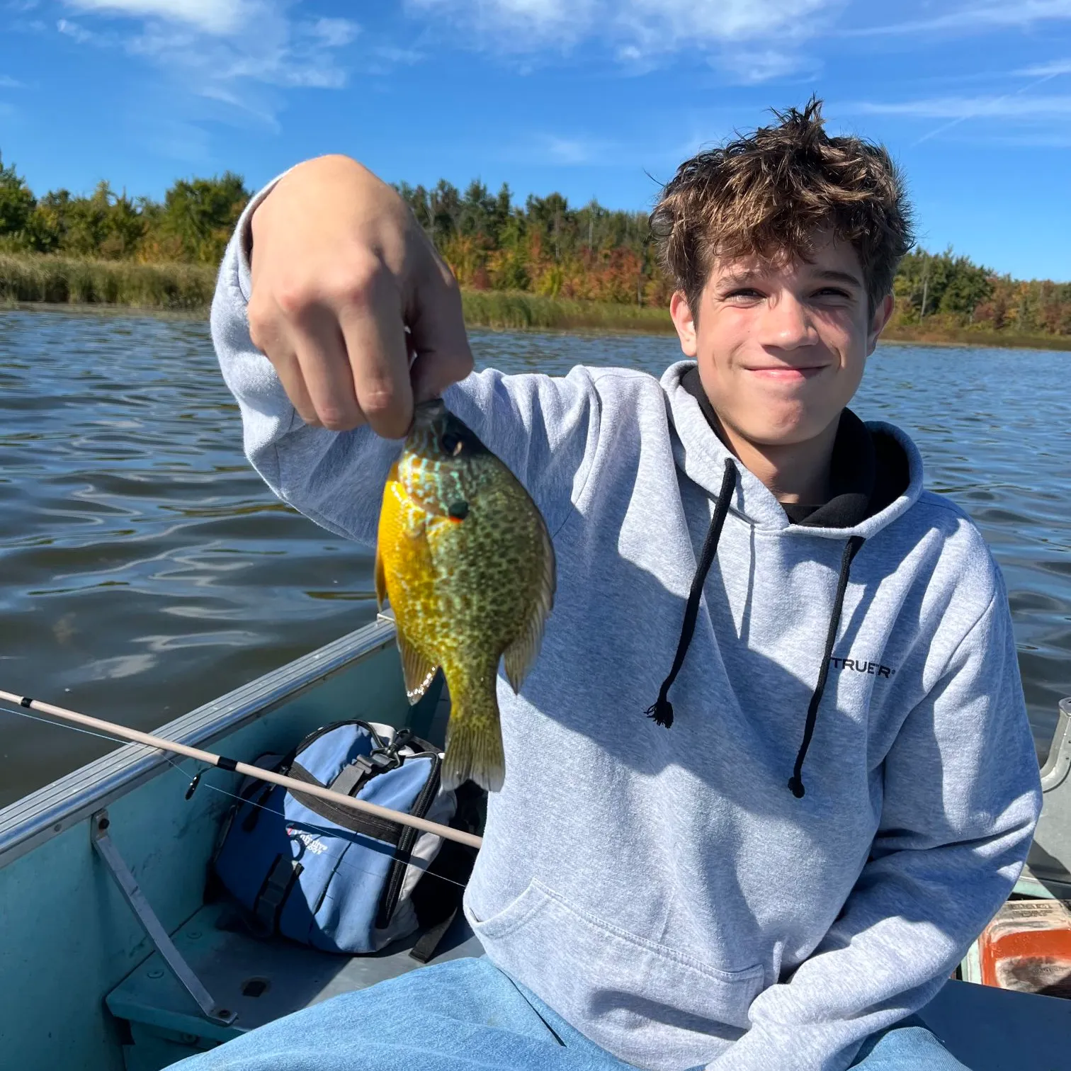 Pumpkinseed x green sunfish caught on Fishbrain