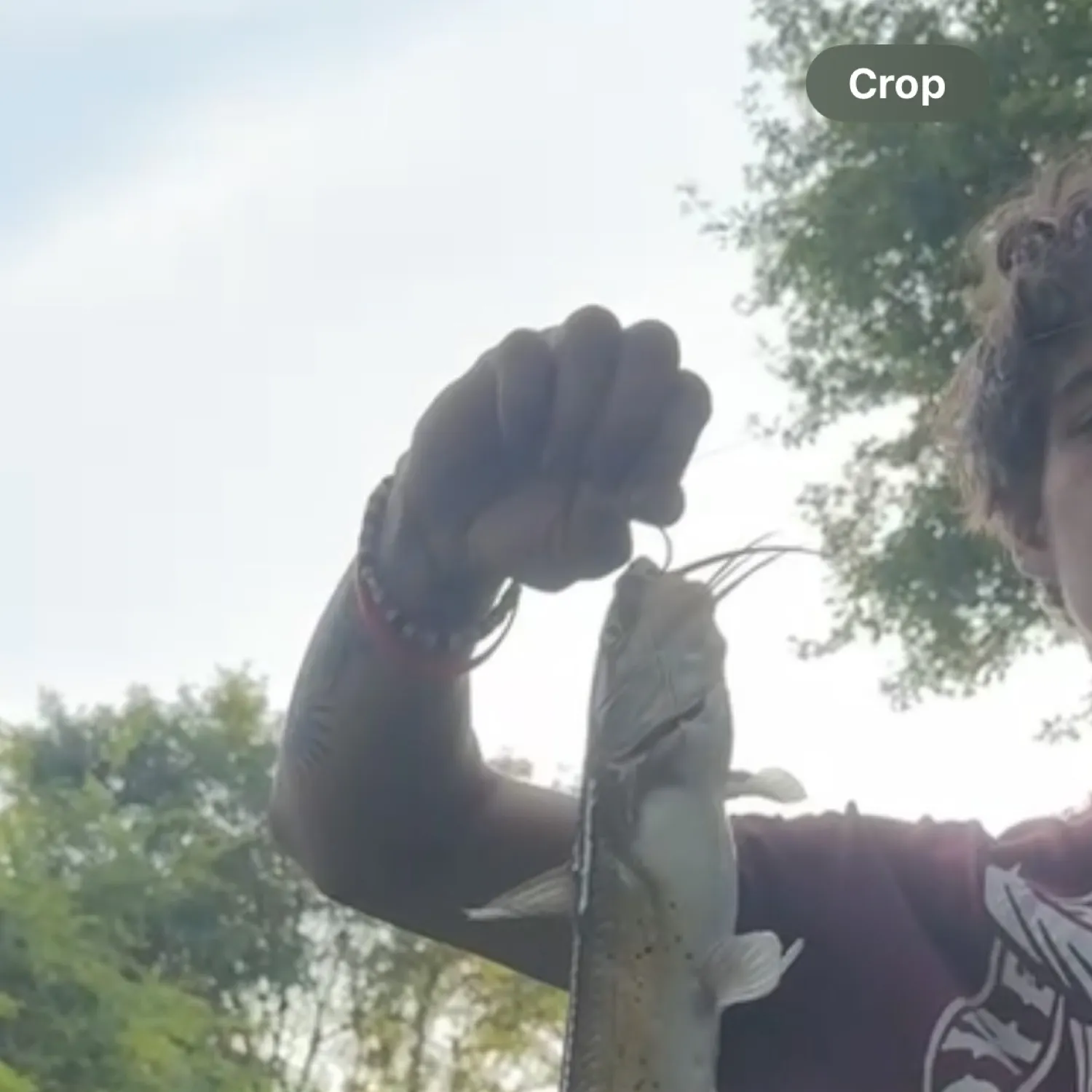 Channel catfish caught on Fishbrain