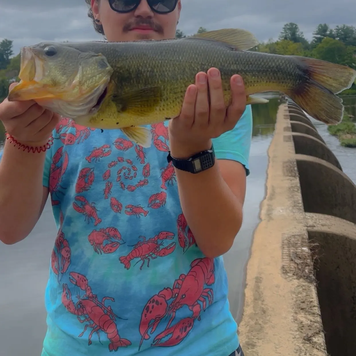Largemouth bass caught on Fishbrain