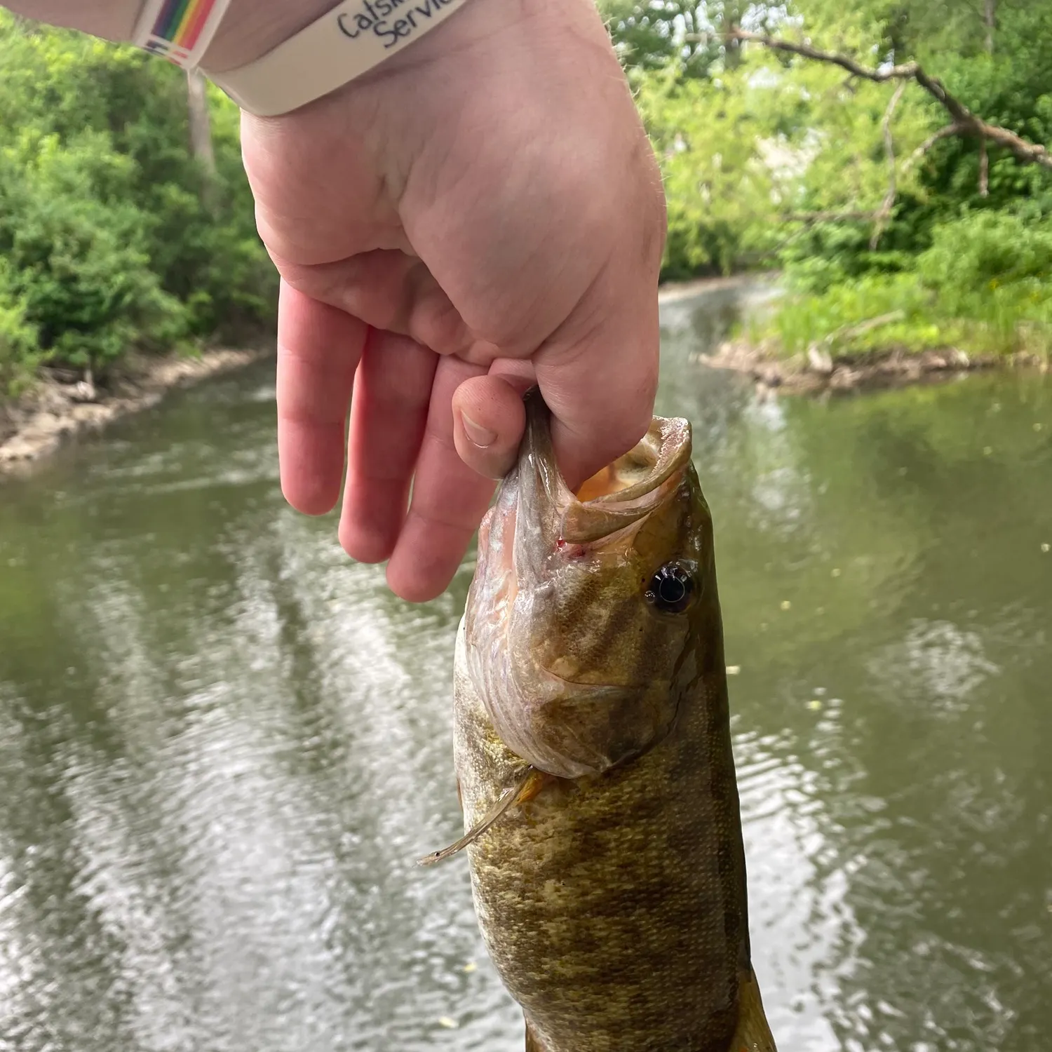 catch