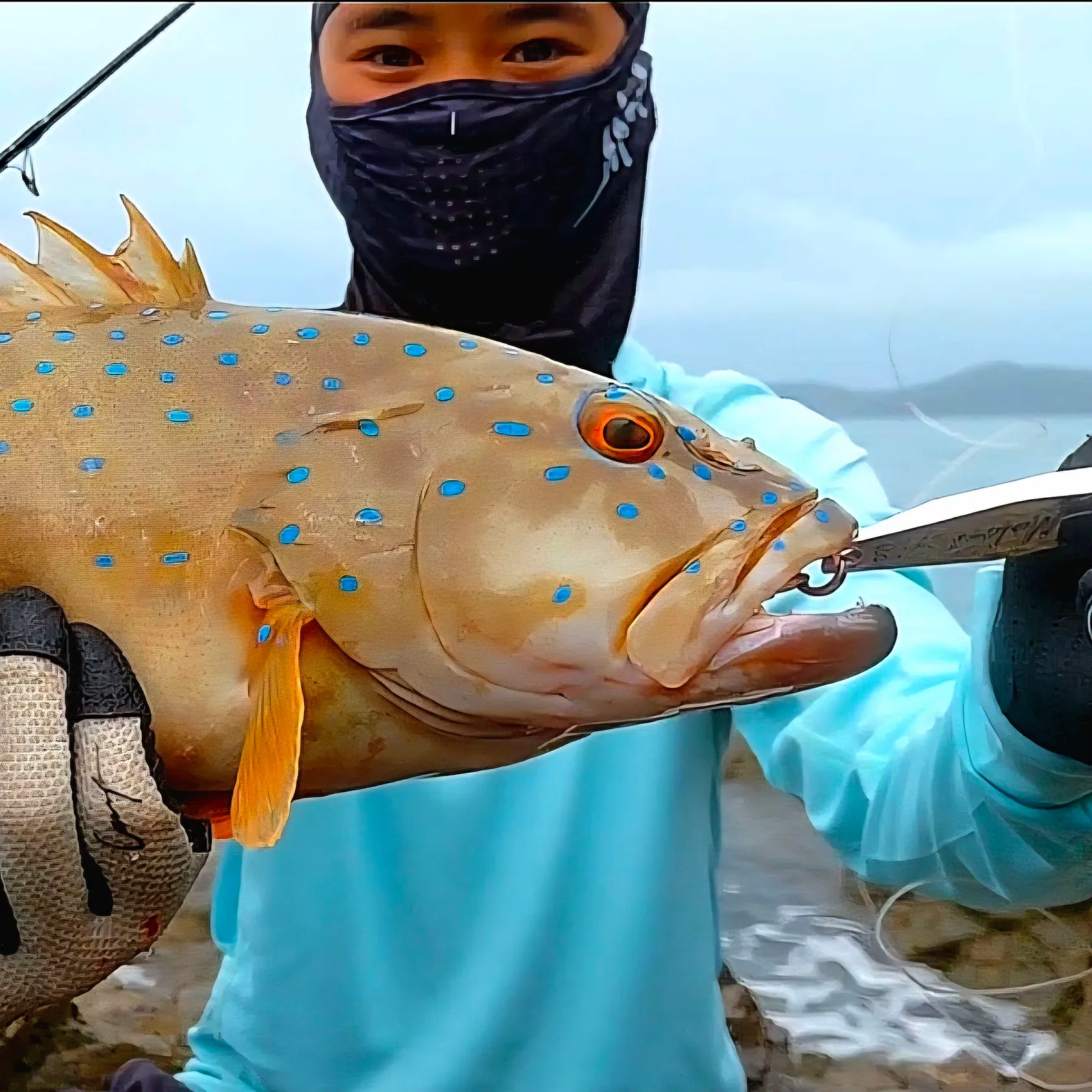 The most recent Spotted coralgrouper catches on Fishbrain