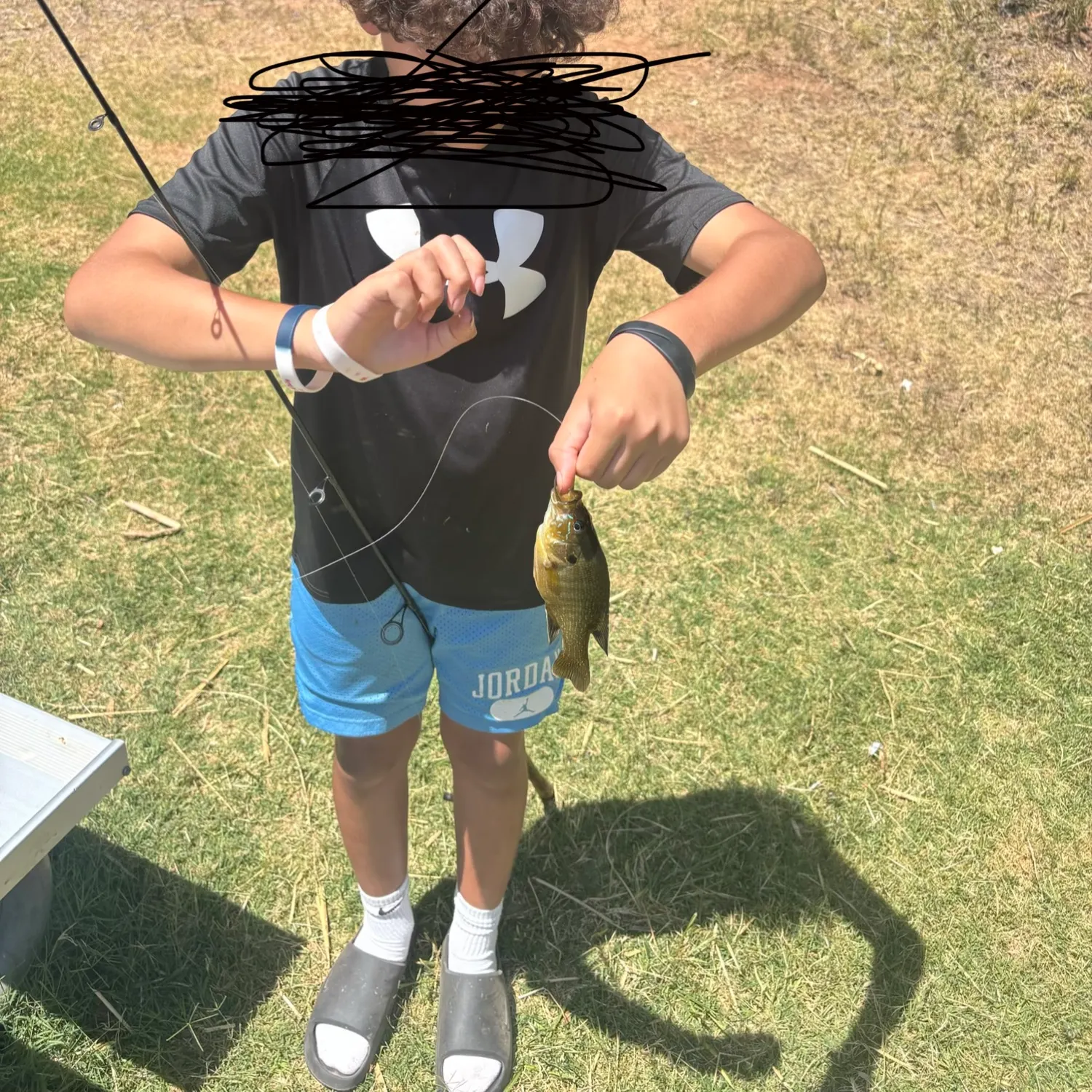 Green sunfish caught on Fishbrain