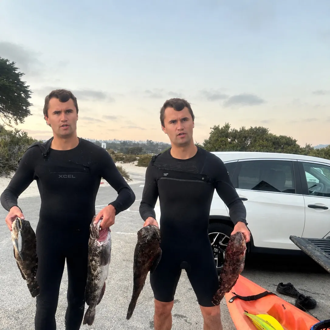 The most recent Cabezon catches on Fishbrain