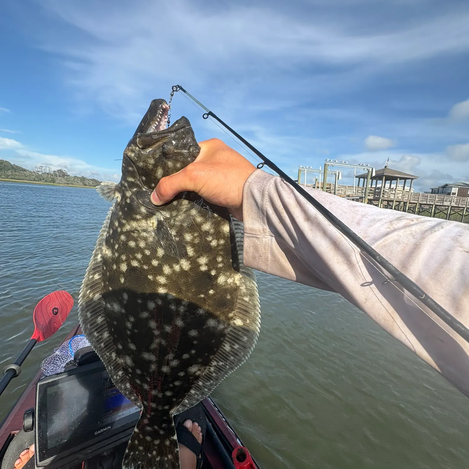 Summer flounder caught on Fishbrain