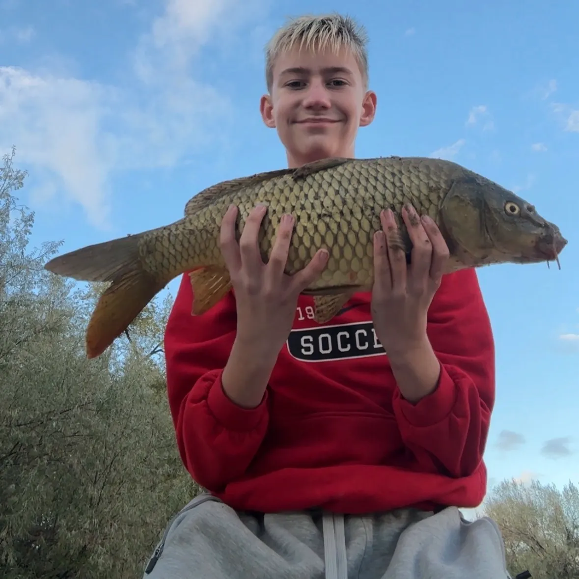 Common carp caught on Fishbrain