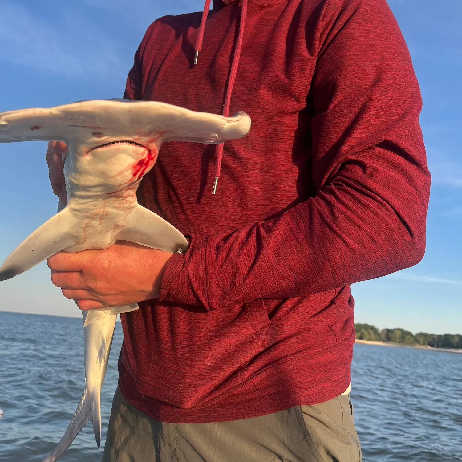 most liked catch image