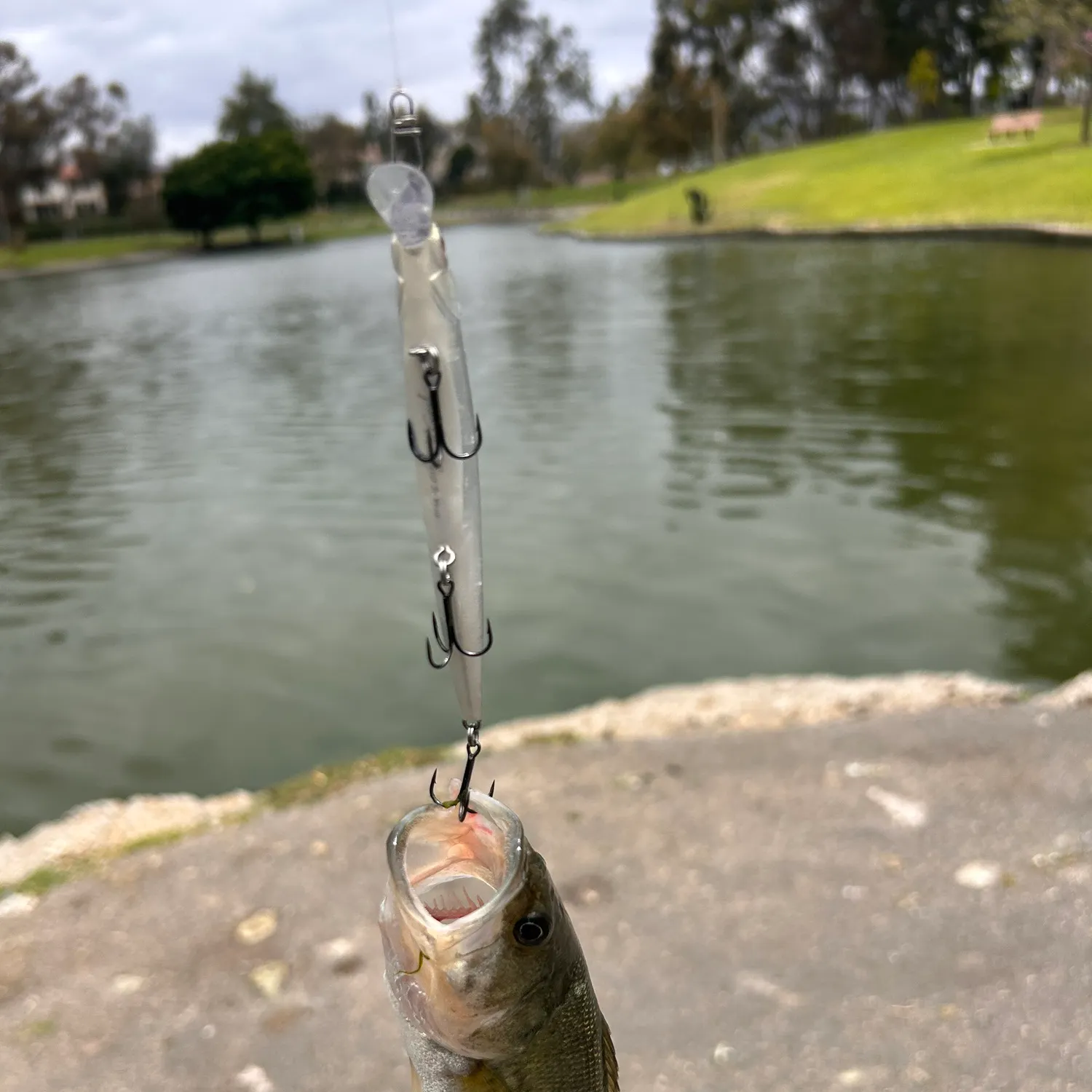 catch