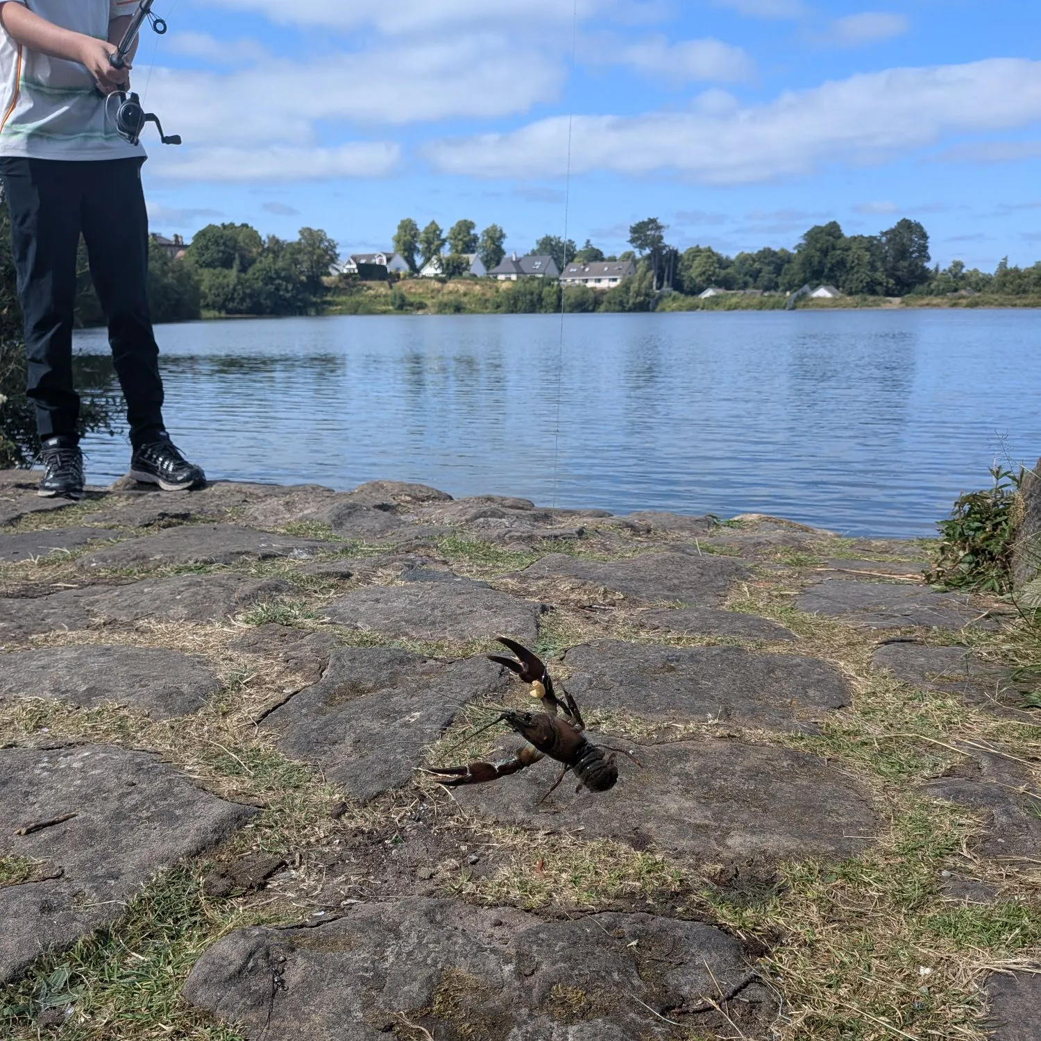 The most recent Virile crayfish catches on Fishbrain