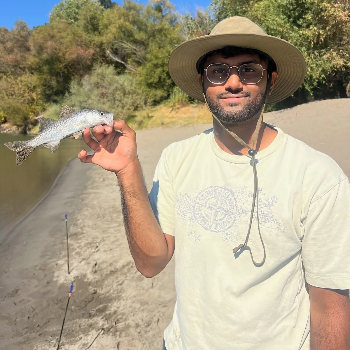 Striped bass caught on Fishbrain