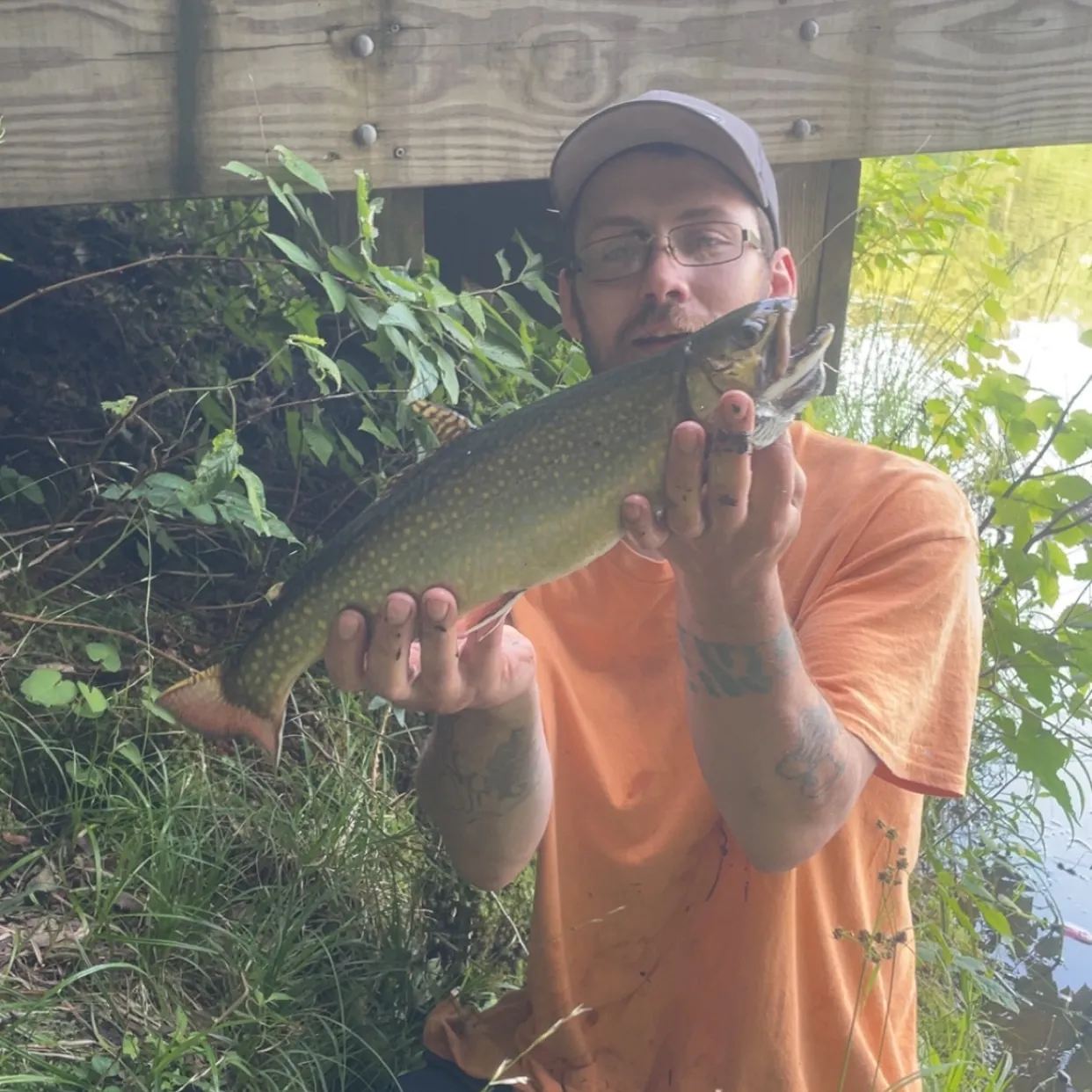 Brook trout caught on Fishbrain