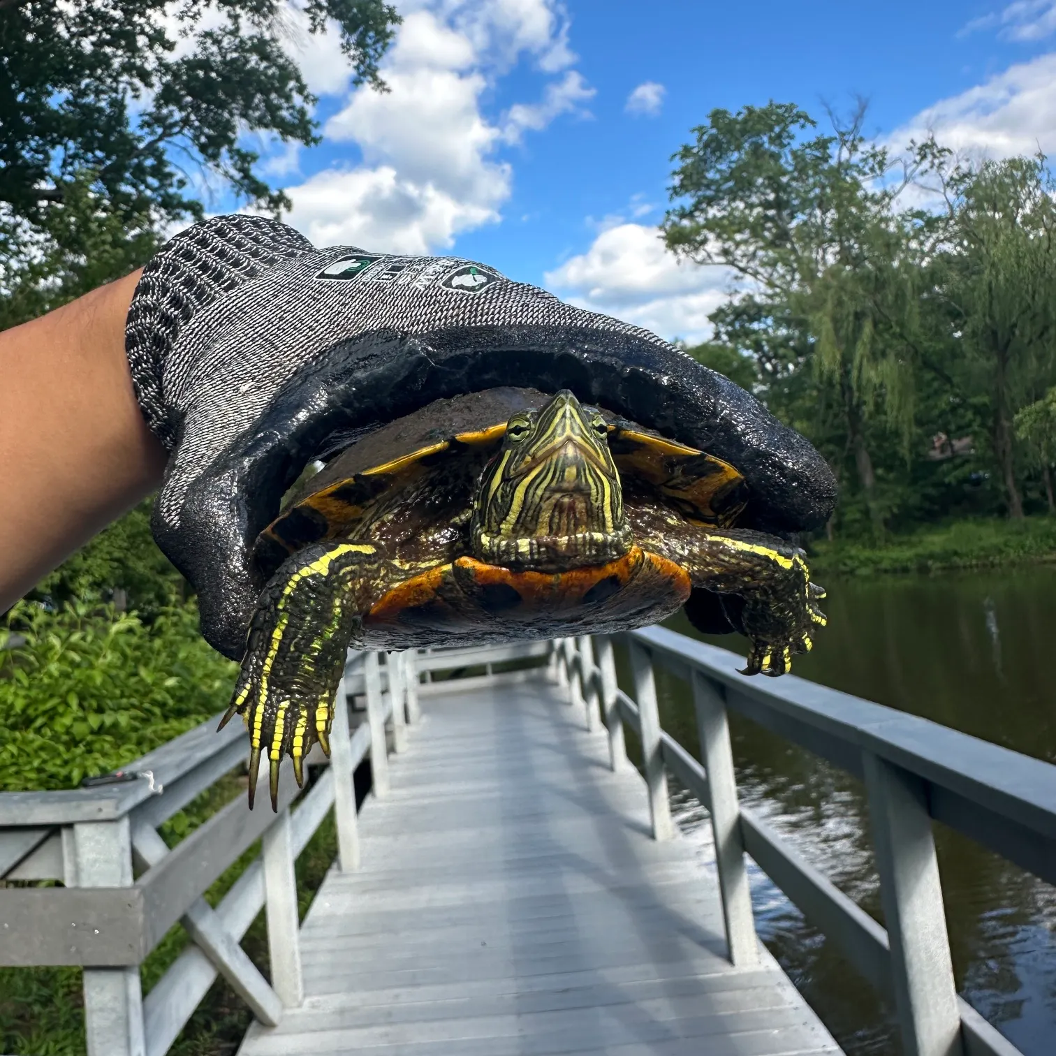 catch