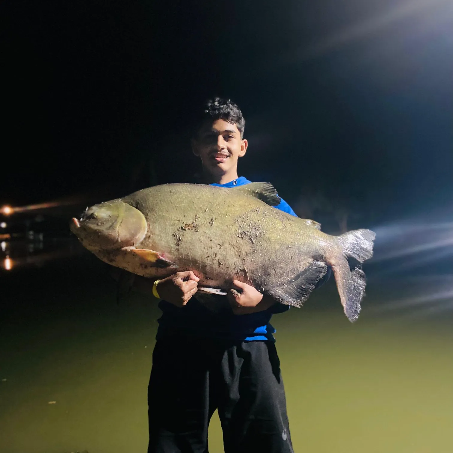 Tambacu caught on Fishbrain