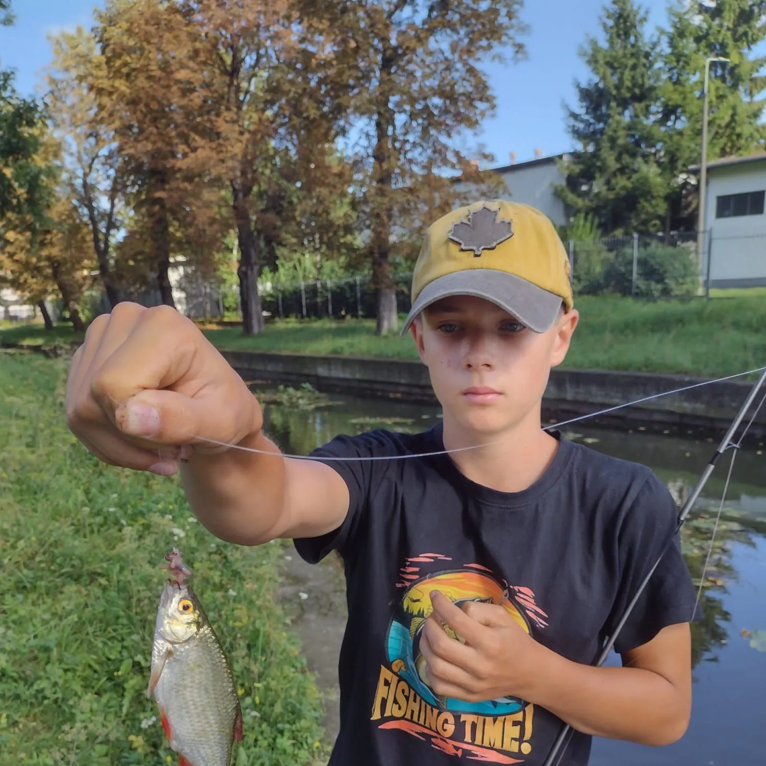 Common roach caught on Fishbrain