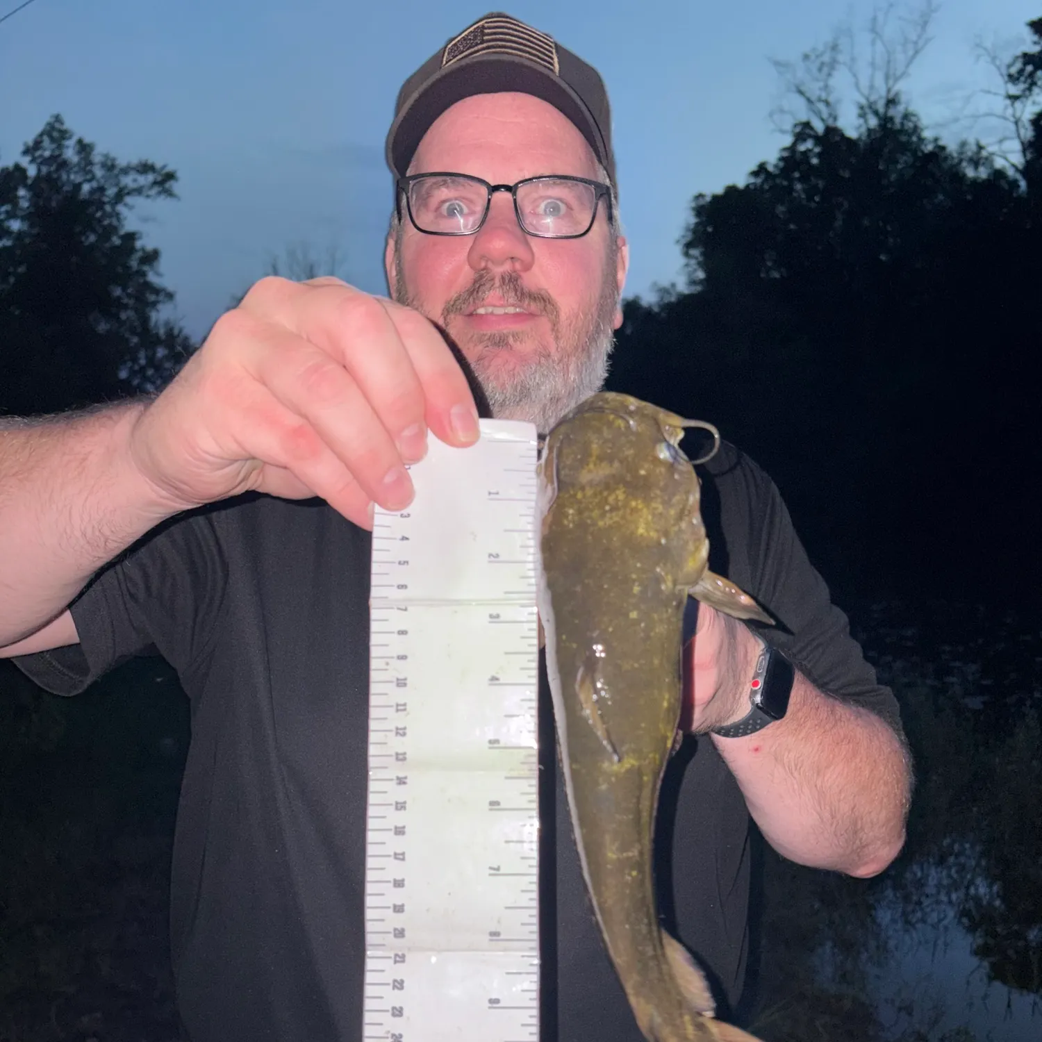 Black bullhead caught on Fishbrain