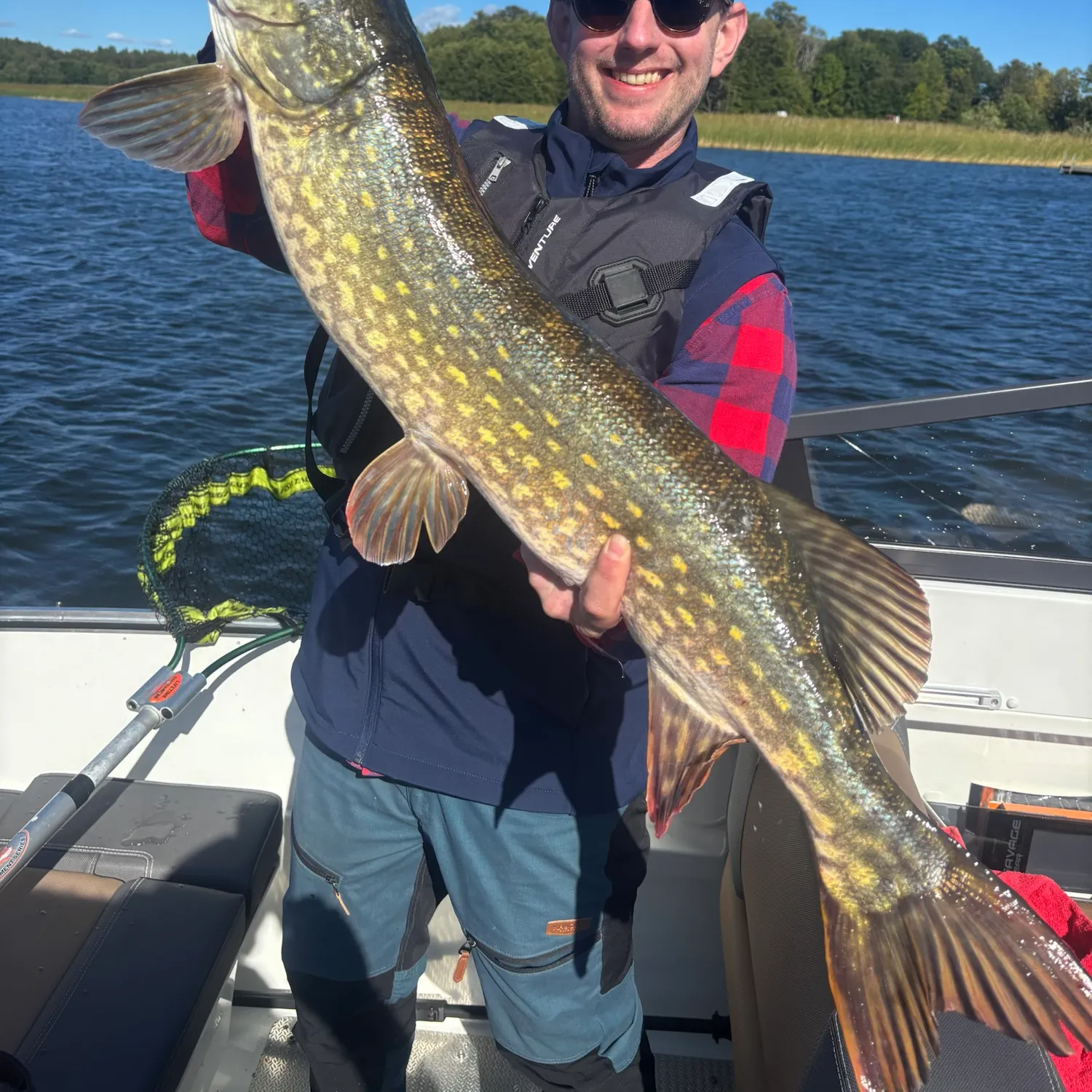 Northern pike caught on Fishbrain