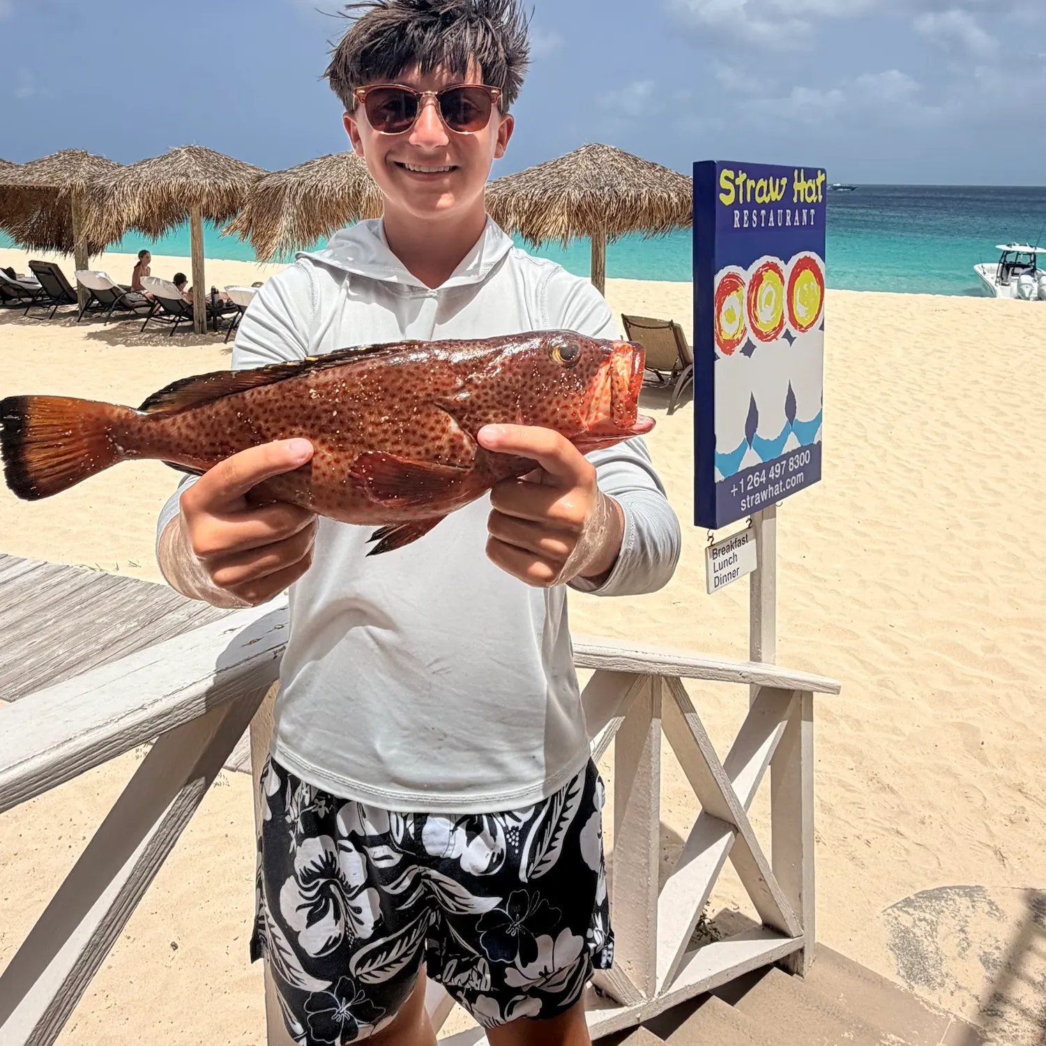 The most recent Red hind grouper catches on Fishbrain