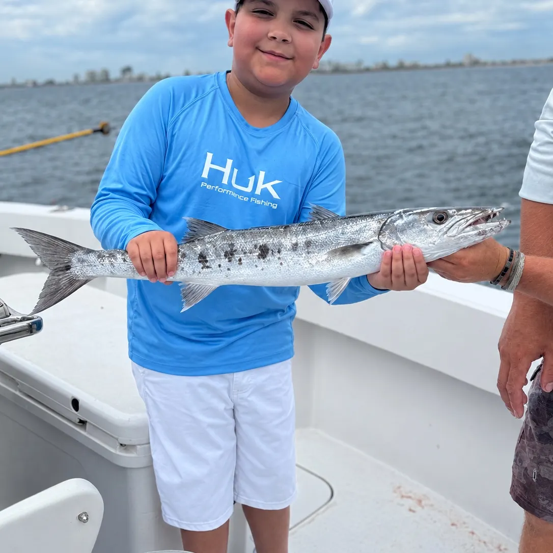 Great barracuda caught on Fishbrain