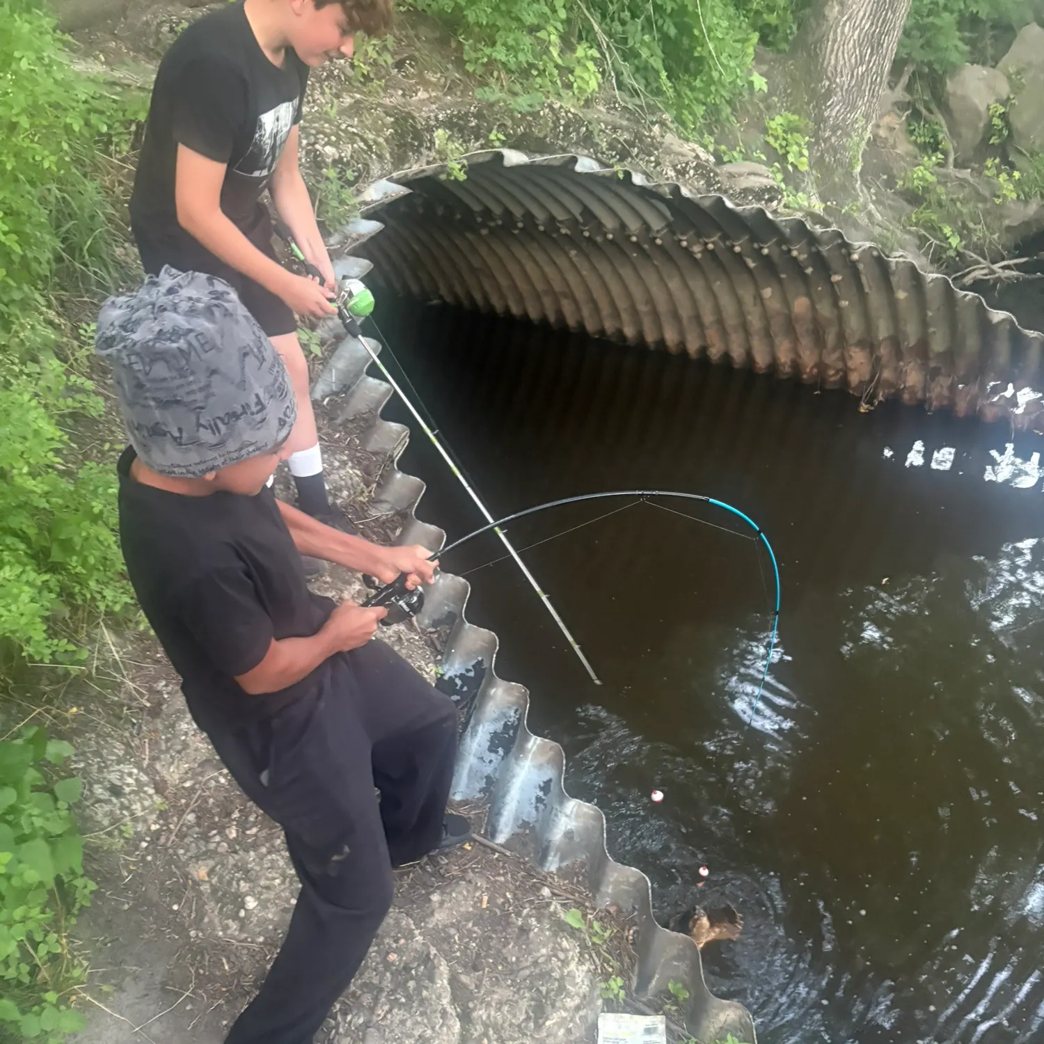 catch