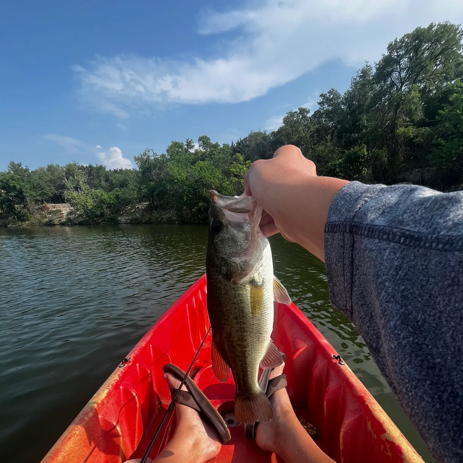 angler catch