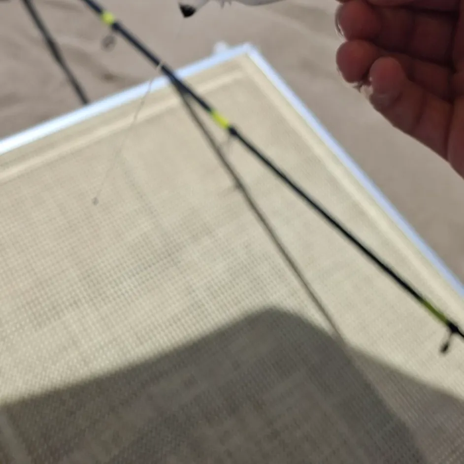 The most recent Derbio pompano catches on Fishbrain
