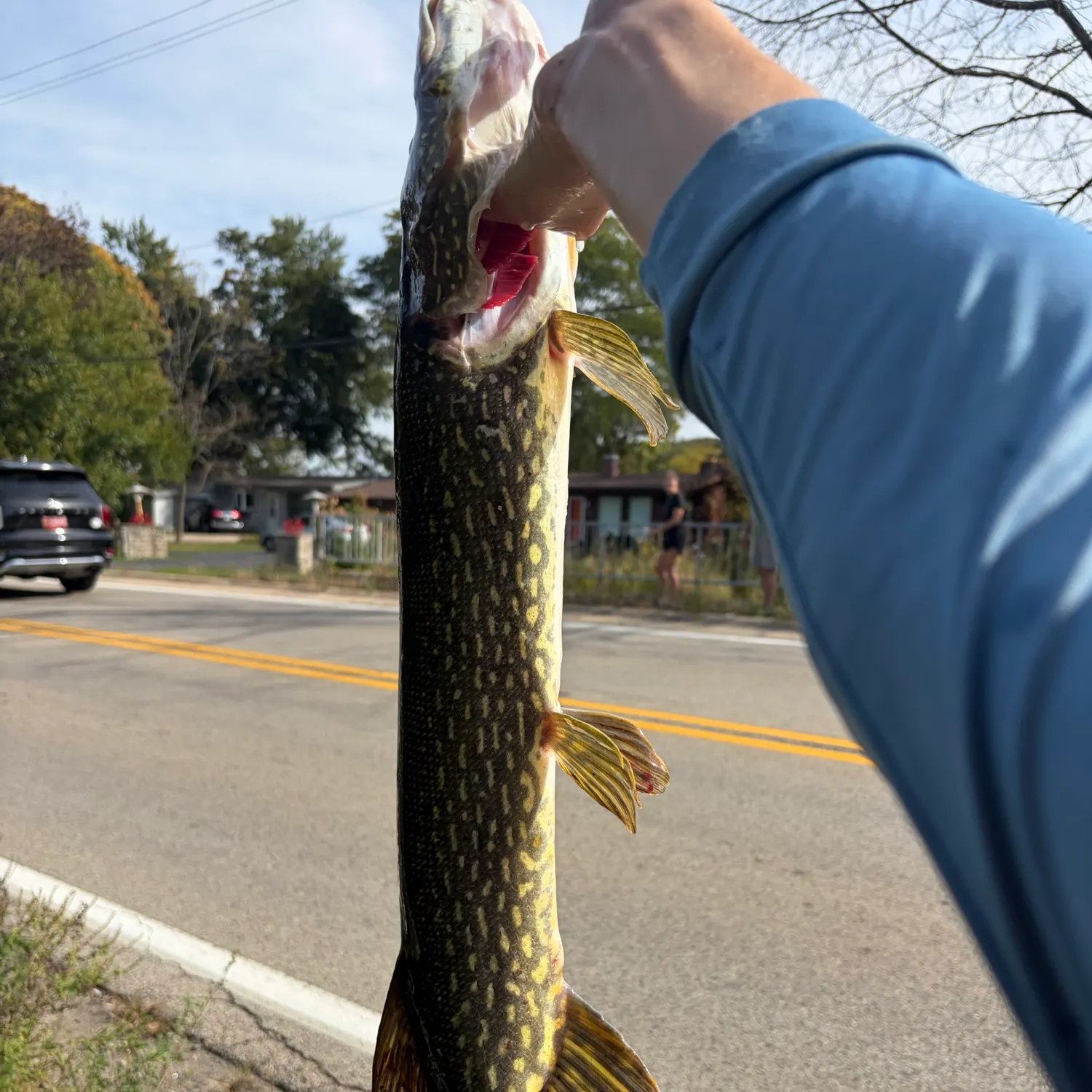 catch