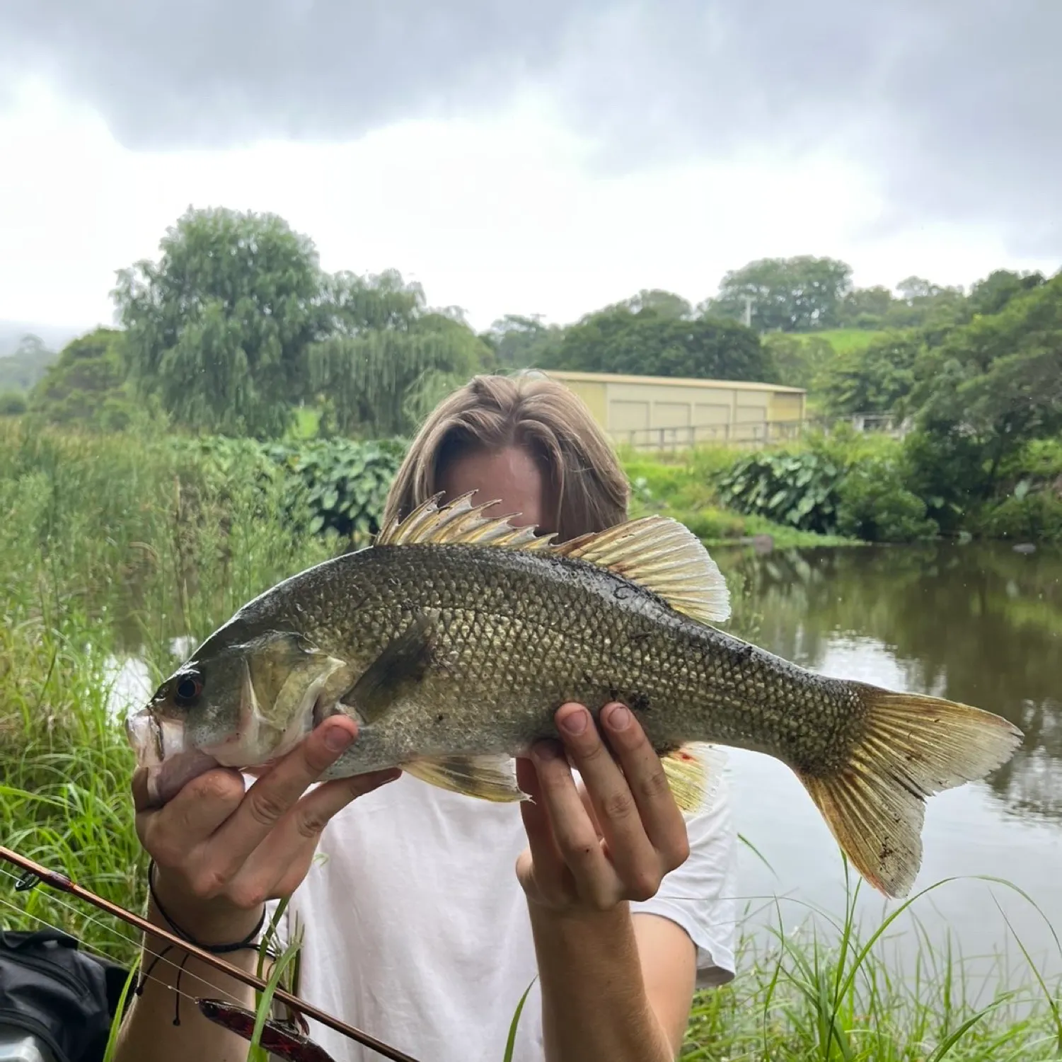 The most recent Australian bass catches on Fishbrain